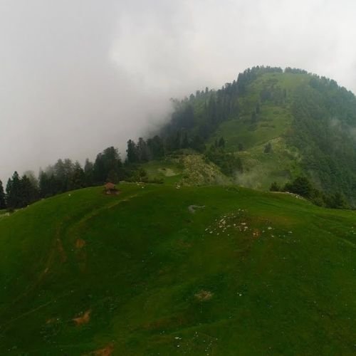 listing-details-carousel